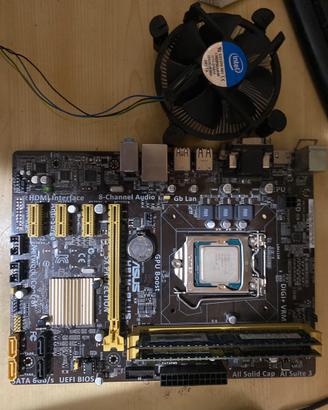 Asus h81m-plus + i5 4460+ fan+4gb ram