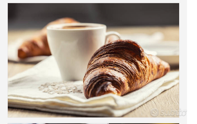 Bar, pasticceria,gelateria,cocktail