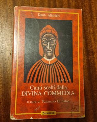 canti scelti dalla divina commedia 