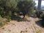 Immagine 11