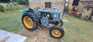 LANDINI  TESTA CALDA