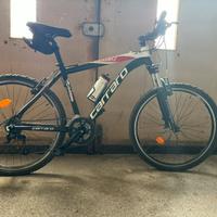 Bike Carraro Daytona 435