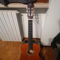 Chitarra acustica Rolling 