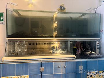 Acquario completo enorme