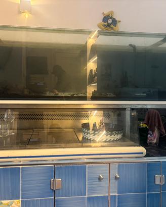 Acquario completo enorme