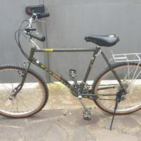 Bicicletta tipo mountain bike