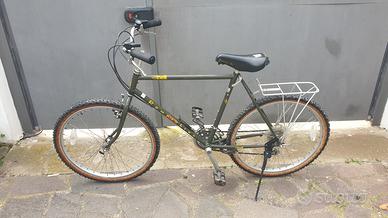 Bicicletta tipo mountain bike