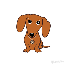 BASSOTTO arlecchino cucciolo FEMMINA