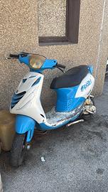 Zip Sp 2008