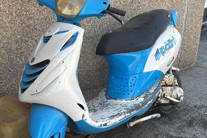 Zip Sp 2008