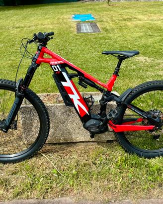 E-Bike THOK TK01R
