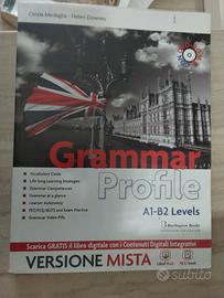 libro grammar profile A1 B2