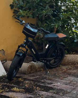 Bici ElettricServoassistita FatBike  Himiway Cargo