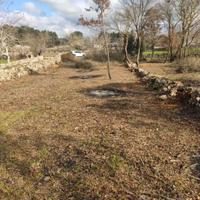 Terreno agricolo sito a Noci