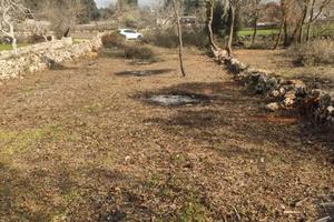 Terreno agricolo sito a Noci