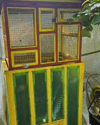 Casetta per gli uccellini