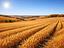 Immagine 10