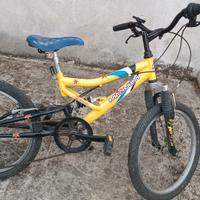 Bicicletta bambino 20