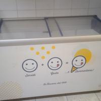 congelatore a Pozzetto 