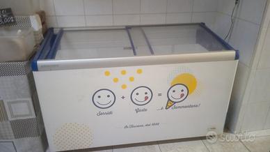 congelatore a Pozzetto 
