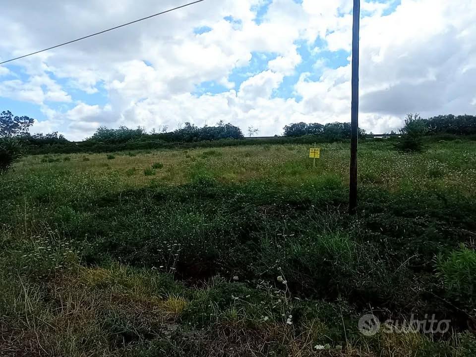 Terreno agricolo Petacciato - Vista 2
