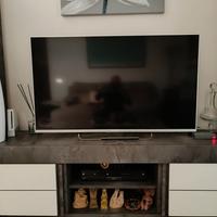 Televisione Sony 55 pollici 