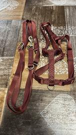 Set pettorina H + guinzaglio multifunzione