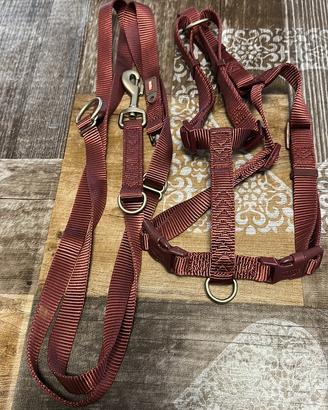 Set pettorina H + guinzaglio multifunzione