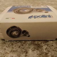 ingranaggi trasmissione polini