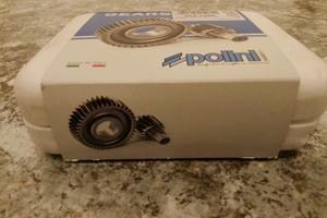 ingranaggi trasmissione polini