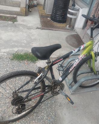 bicicletta ruta 24 