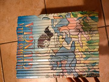 Raccolta di 23 libri "IL LIBRO DELLA GIUNGLA" DeAg