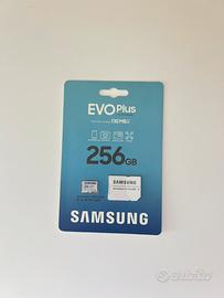Memoria memory card SD 256gb Samsung
