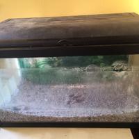 acquario aquarium Aquatlantis