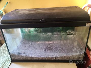 acquario aquarium Aquatlantis