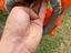Immagine 4