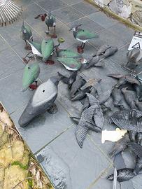 Stampi storni, cornacchie e pavoncelle