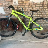 rockrider st 100