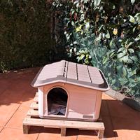 cuccia per gatti