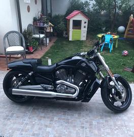MOTO HD  V-Road Muscle