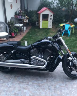 MOTO HD  V-Road Muscle
