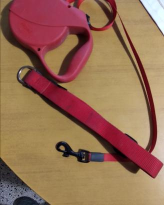 Guinzaglio estensibile 6 metri collare eur 10