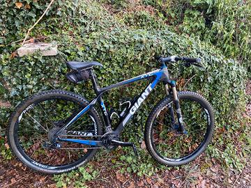 Giant Mountain bike