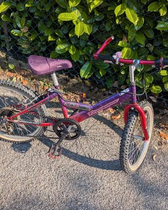 bici ragazzina 7/8anni 