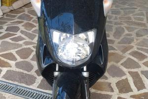 Honda Foresight 250