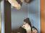 Immagine 5