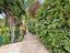 Immagine 29