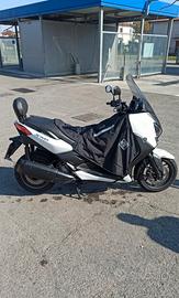 Xmax 250 2016