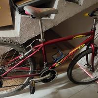 Mountain bike MTB Bottecchia ruote da 24