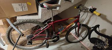 Mountain bike MTB Bottecchia ruote da 24